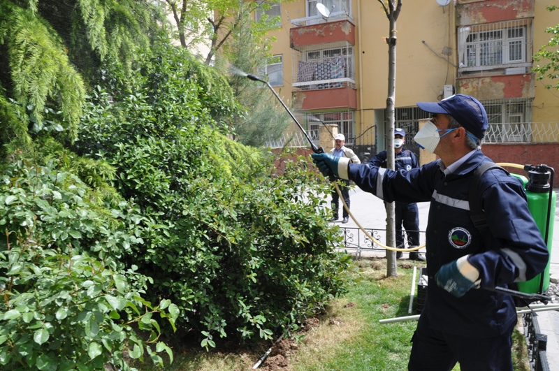 Haşere İlaçlama Çalışmaları Aralıksız Devam Ediyor (4)