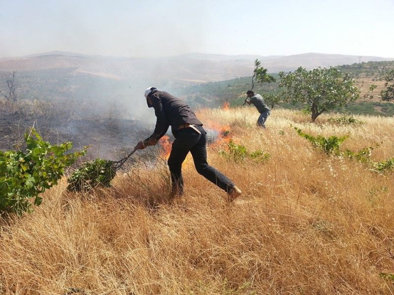 11150492_906075209439196_2741678904895890142_n