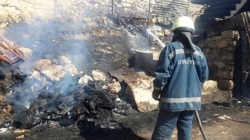 11238736_928290540550996_5934901282906634144_n (1)