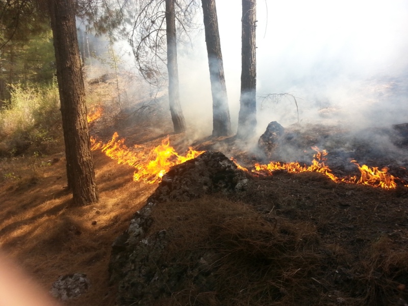 21 Temmuz 2015 yang¦-n (1)