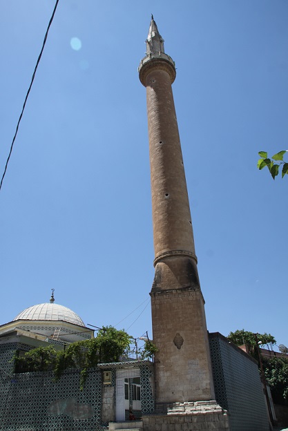 cami