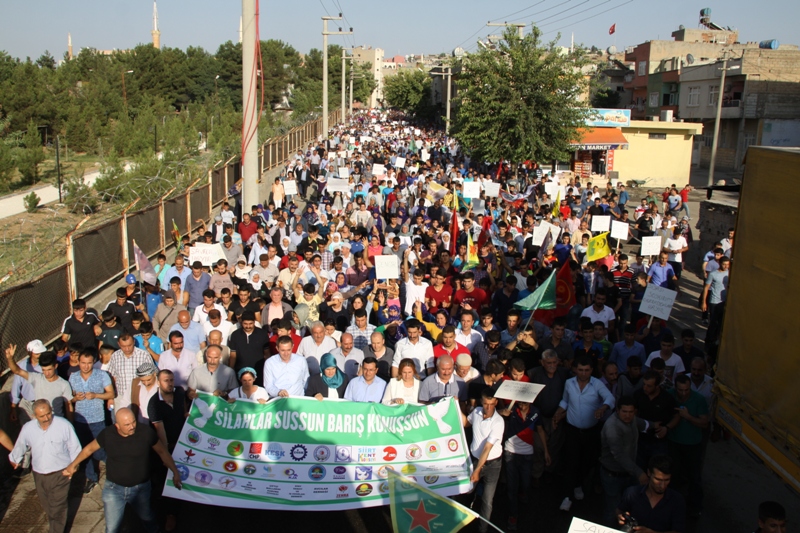 Siirt Barış ve Demokdasi Yürüyüşü (3)