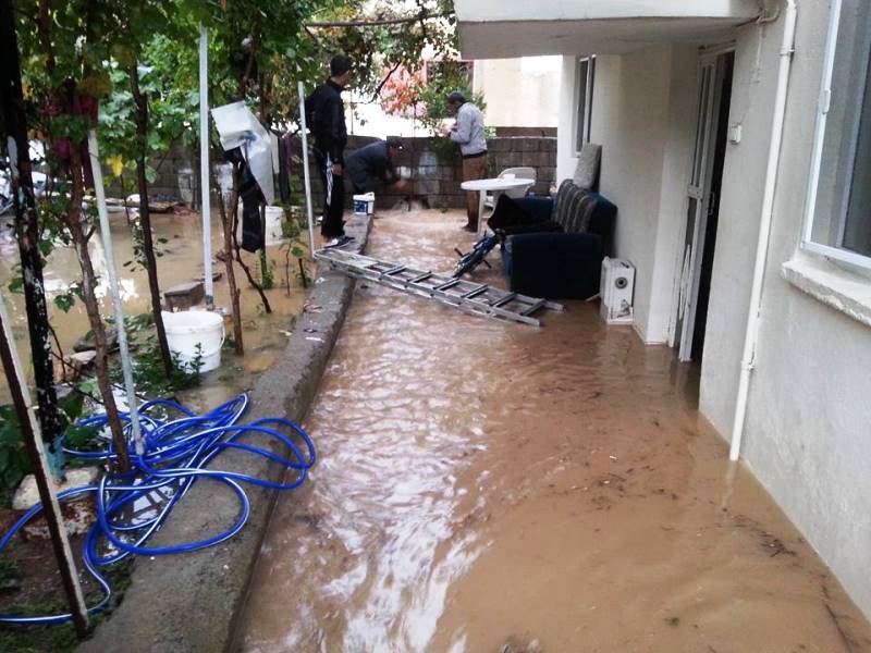 12191505_983374545042595_3229561612043378746_n