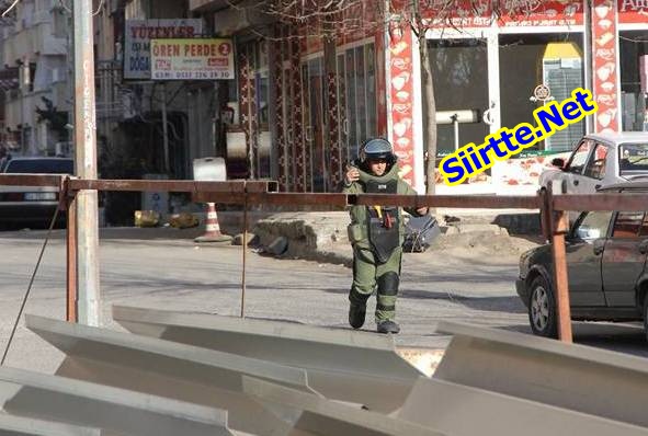 12392029_1011769205536462_6601621152176678103_n