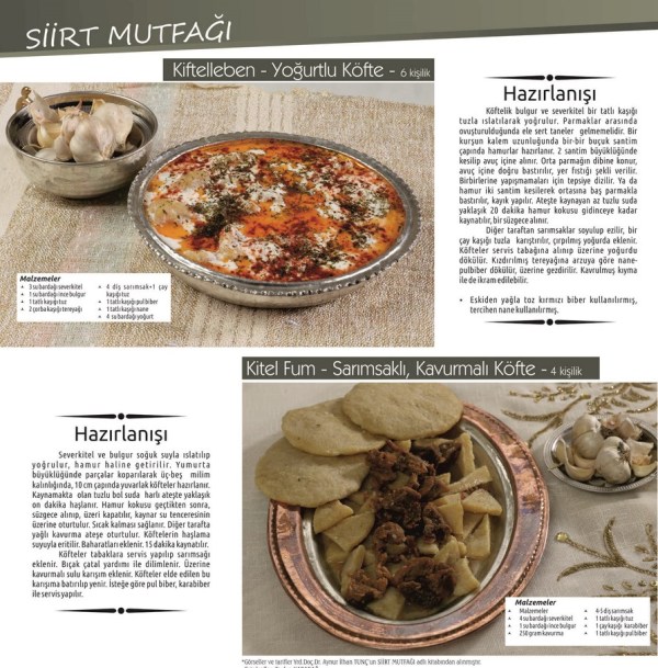 sayfa  (1)