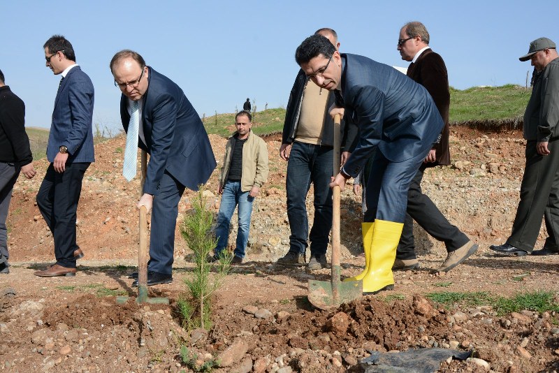 Kent Ormanı  İnceleme (11)