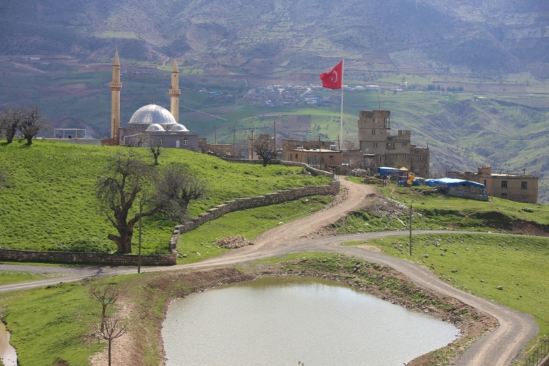 AĞAÇ (5)