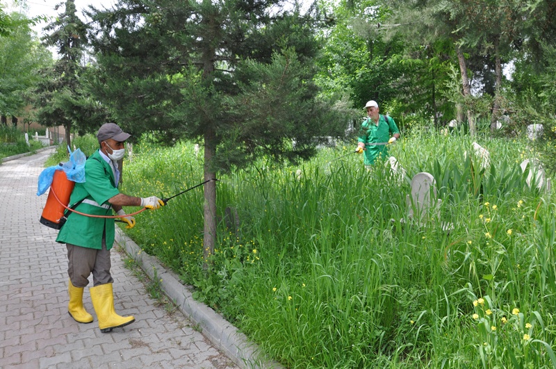 Mezarl¦-klarda Yabani Otlarla M+-cadele Ba+şlad¦- (1)