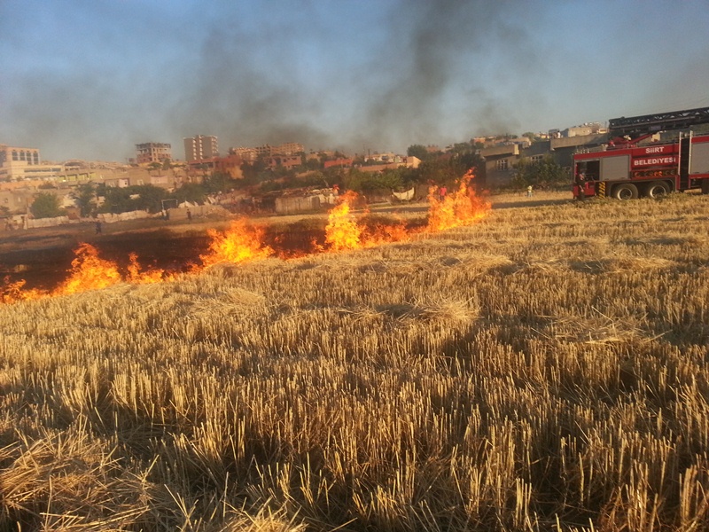 Arazi Yangını