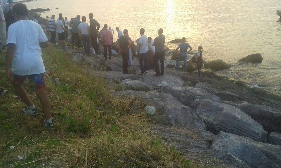 13487298_10154243730383416_1767675039_n