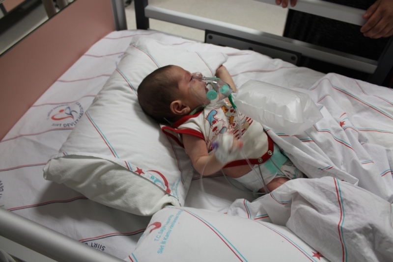 bebek-3
