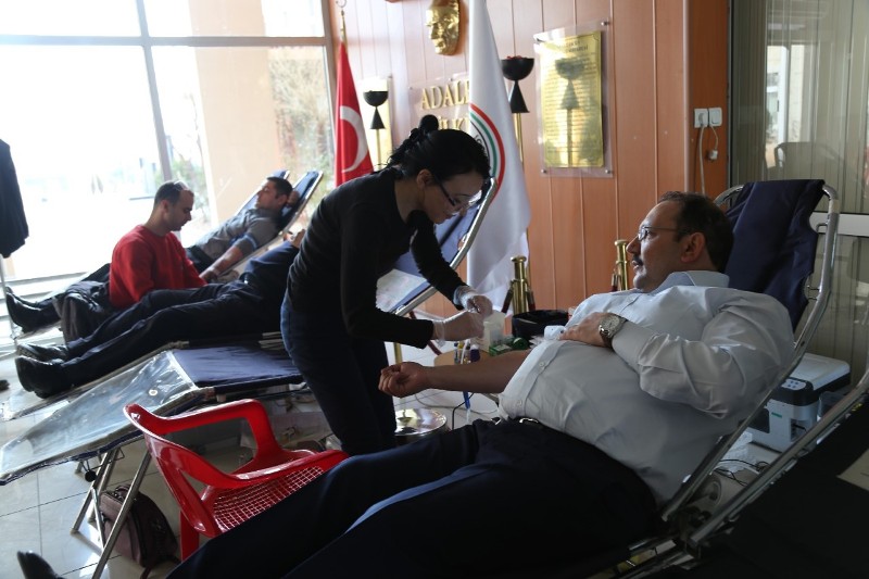 thumbnail_IMG-20170117-WA0030