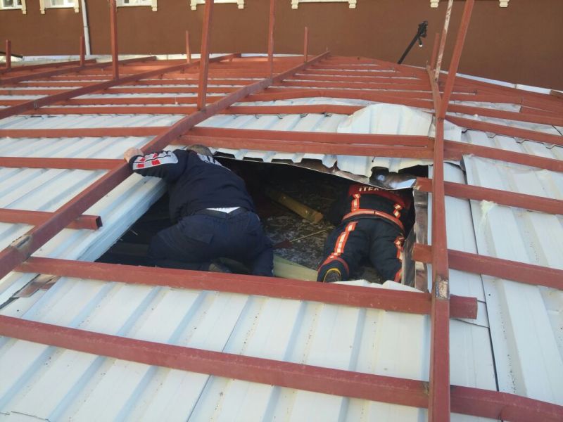 d2753d2c-785c-4642-86b7-4bc3d6af9eef