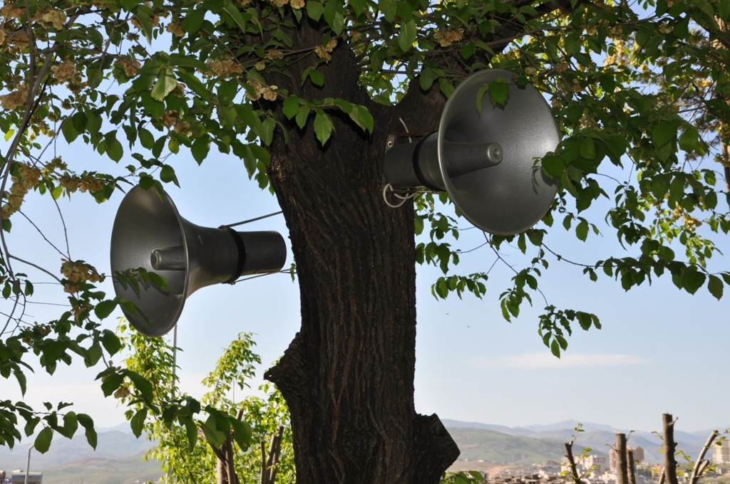 thumbnail_DSC_0041