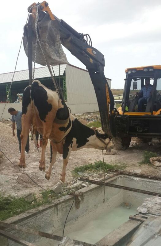 14607b5d-e6c0-45b5-86cd-07b09fe1f0a5