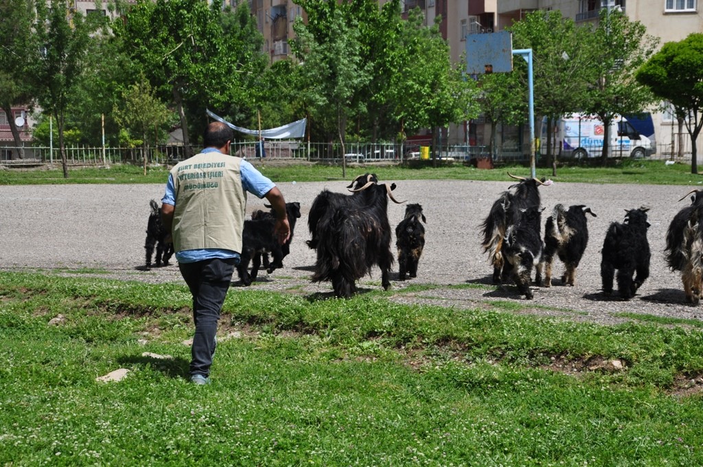 thumbnail_DSC_0180