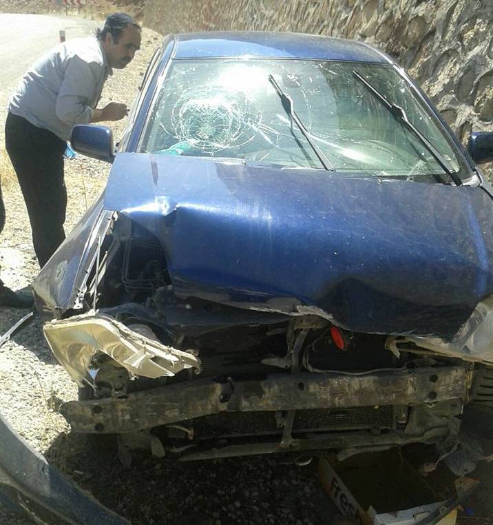 20155949_691004137754769_4913920230285049117_n