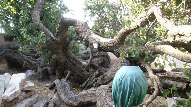 00064.MTS_snapshot_00.01_2017.08.21_12.12.56-640x360