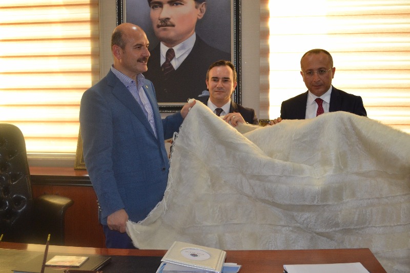 535f9cb1-66ee-4977-9888-651b663ec638