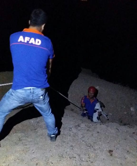 601b4a7b-2613-4c69-b28c-cd6c47dc34fa