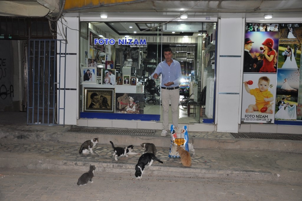 thumbnail_DSC_0474
