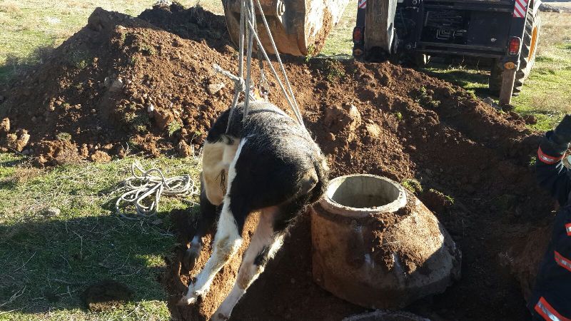 c845123c-9919-4c98-bfc5-7a8a40582caa