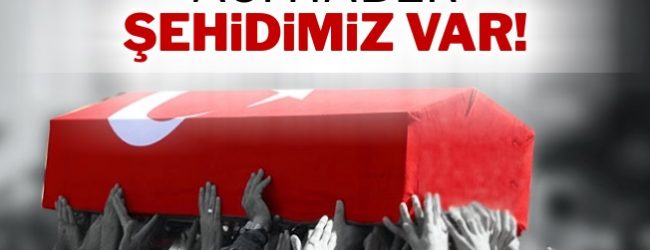 sirnak_tan_aci_haber_1_asker_sehit_h4681_613f9-650x250