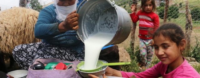 daglar-temizlendi-yaylalara-huzur-geldi-10956485_o-640x250