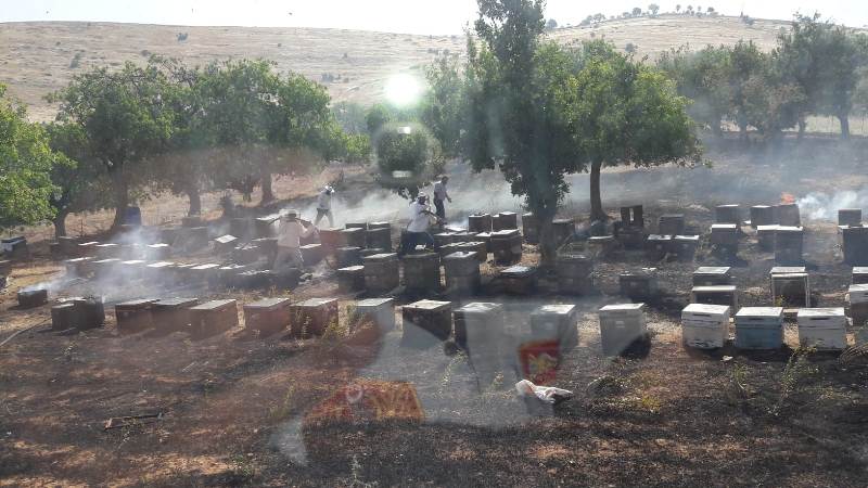 5aabd9be-c2d4-4648-b59c-c4dbddb7aedc