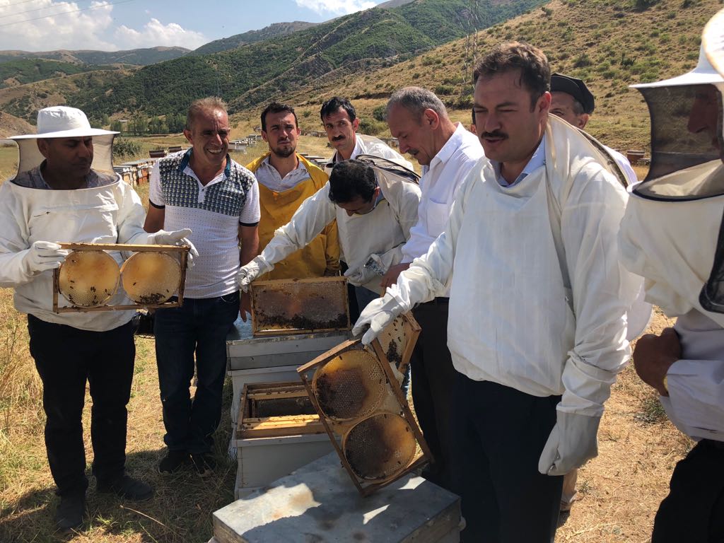 75fa3ec6-792a-4cb0-8e53-a3fb67524f08