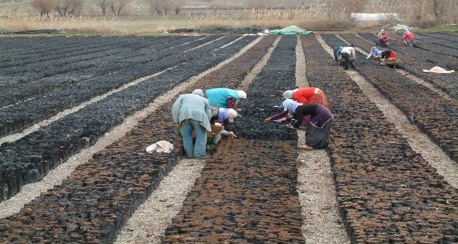 19fe813f-7bcc-45cf-9dce-5959a233c7d3