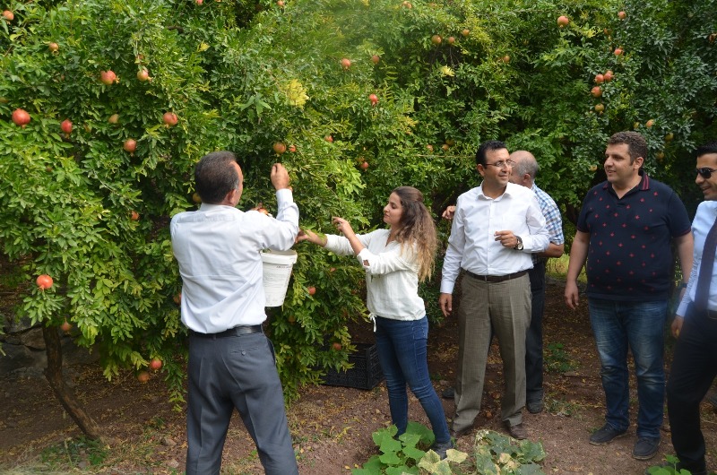 72fa6bf0-15a3-440c-adcf-94f9de2c0373