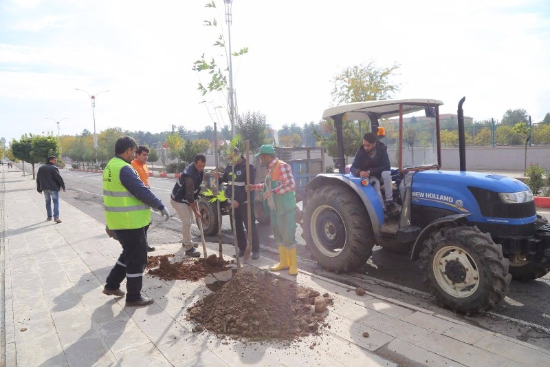 5b0ebbc7-13b2-4ac9-baa9-3ba704304756