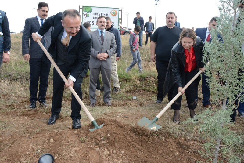 thumbnail_FIDAN DIKIMI (3)