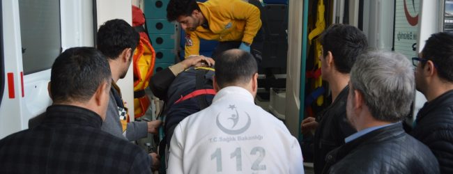 5265fd71-74e8-4b4d-a16f-2be709914aaa-650x250