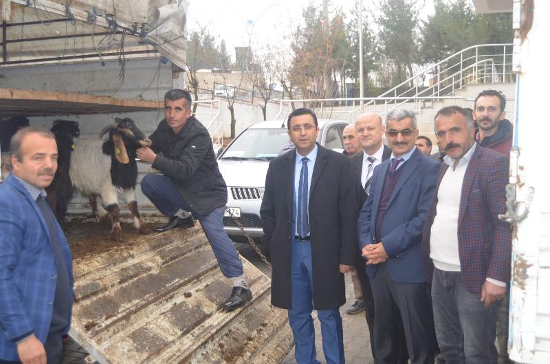 WhatsApp Image 2018-12-21 at 08.57.55