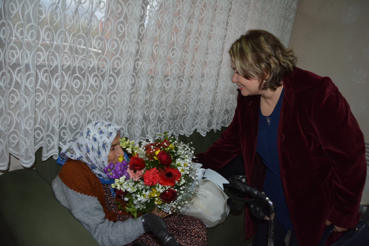 thumbnail_ziyaeret (2)