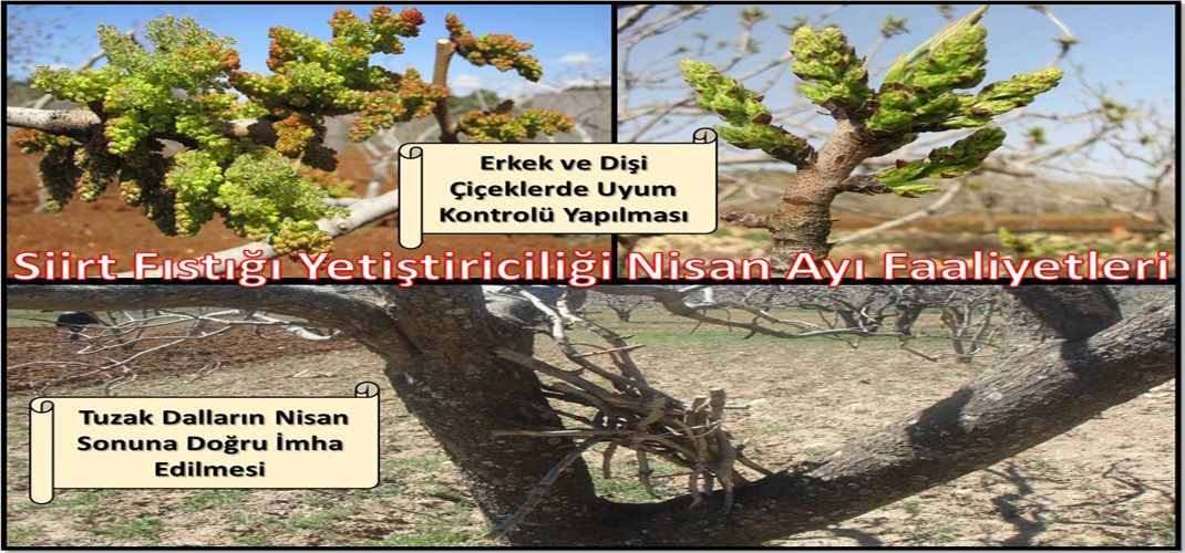 thumbnail_Nisan Ayi Faaliyetleri Resim
