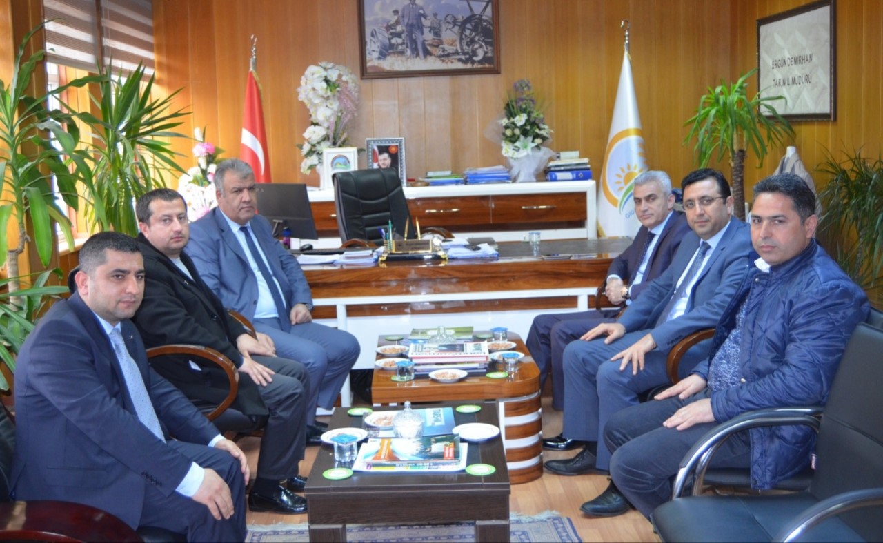 thumbnail_WhatsApp Image 2019-04-01 at 19.20.15