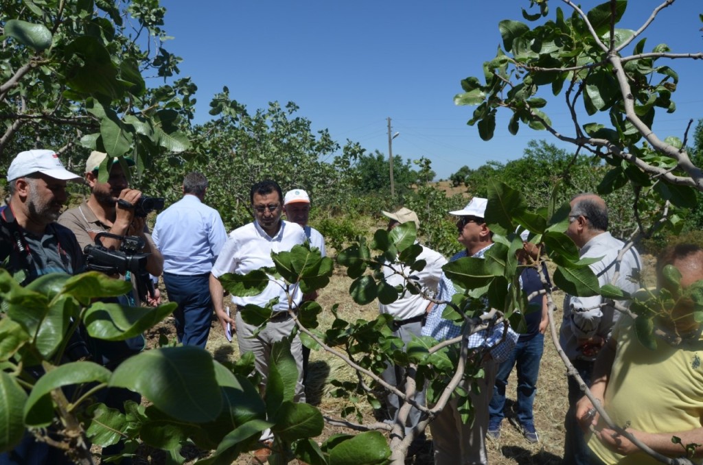 thumbnail_WhatsApp Image 2019-05-30 at 15.22.46