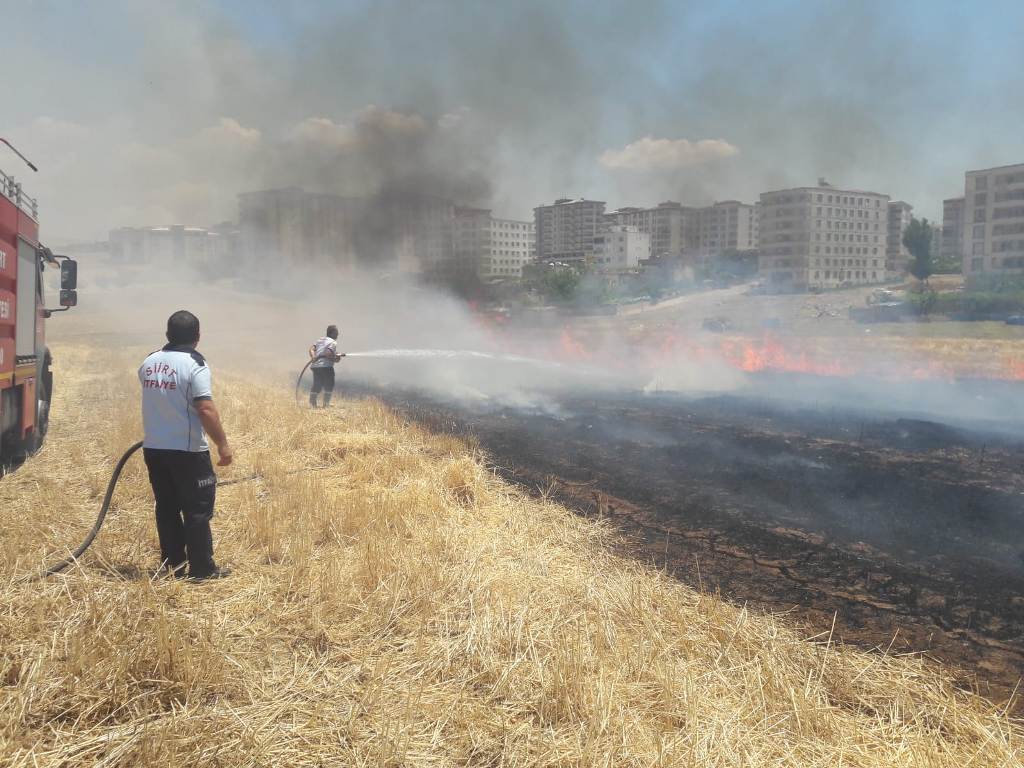 729aa6dc-fa61-4af2-ace4-92b7a77c7de4