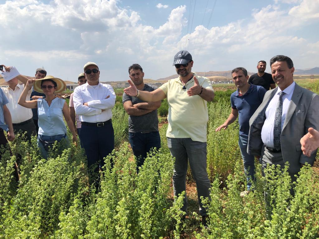 ff609569-bc71-4128-98f6-231abbfe55b1