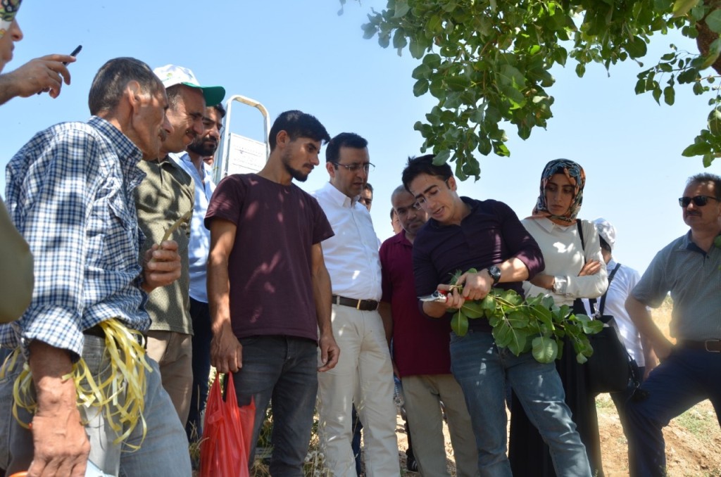 thumbnail_WhatsApp Image 2019-06-26 at 11.11.53 (1)