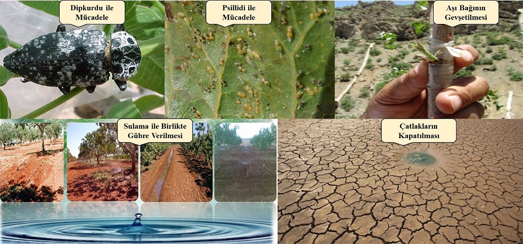 thumbnail_Temmuz Ayi Faaliyetleri Foto