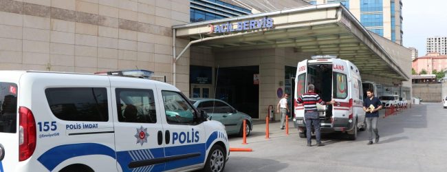 WhatsApp-Image-2019-08-21-at-14.43.57-650x250