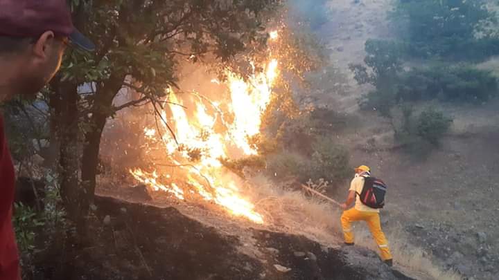 d9466708-f6dc-4a5e-a67c-b7c88e30b7bf