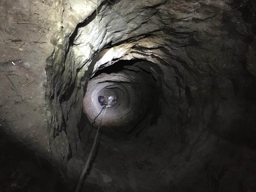 1e50e0b1-3b0f-4a5d-bb04-c6477f881b0e