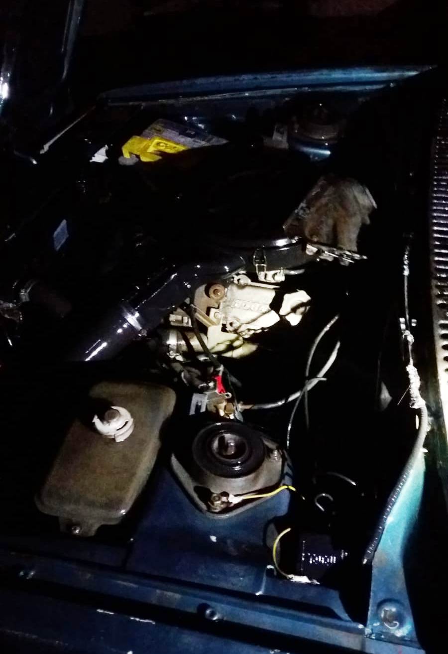 0858ad92-28ac-4917-b856-80305030d559