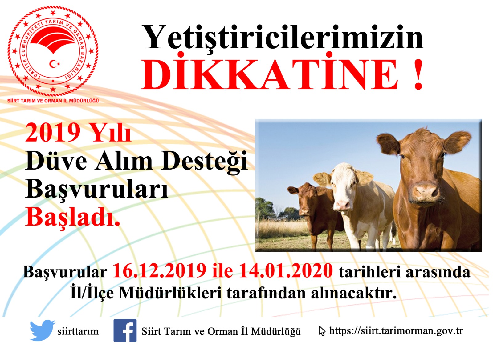 8abd31ad-1944-46af-9efa-ef12a35df06e