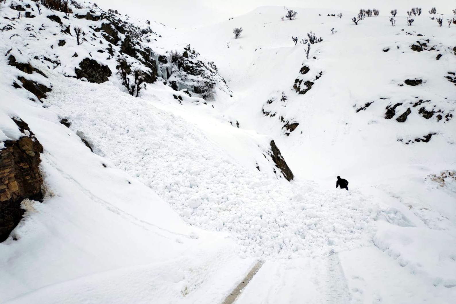 c151d012-5013-42a2-abc2-6a6cb454d307